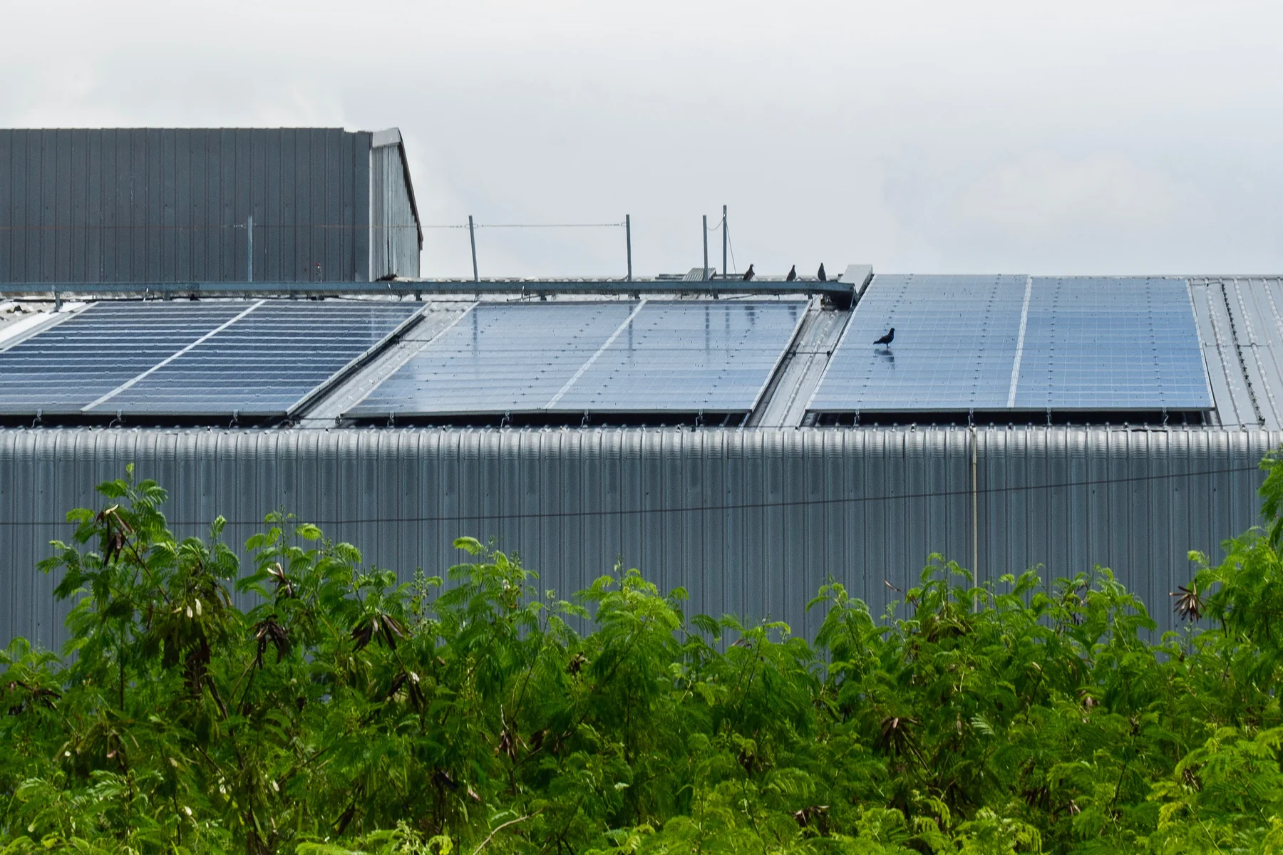 Detail panel surya di atap toko swalayan Sidoarjo, instalasi Solar Panel Mandiri